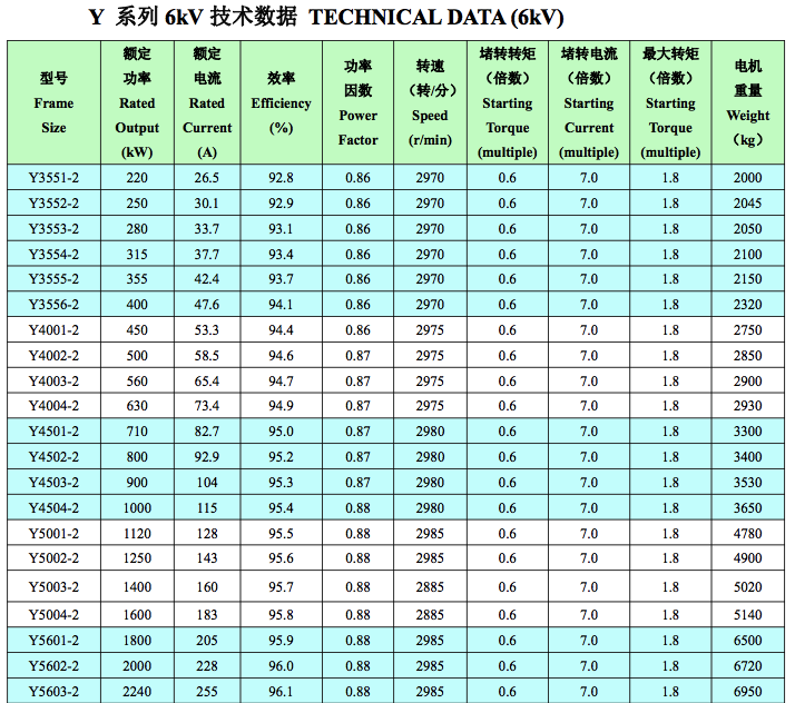 Y6kV中型高壓電機技術(shù)數(shù)據(jù)1